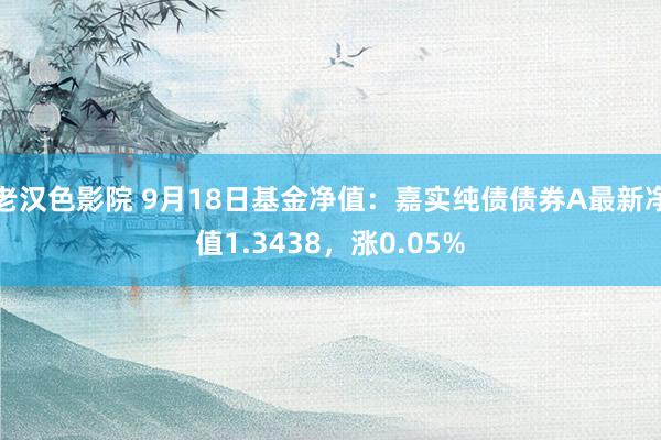 老汉色影院 9月18日基金净值：嘉实纯债债券A最新净值1.3