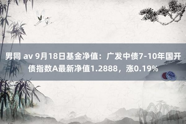 男同 av 9月18日基金净值：广发中债7-10年国开债指数A最新净值1.2888，涨0.19%