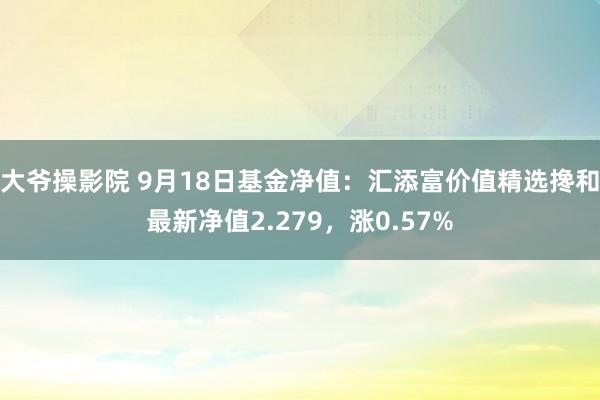 大爷操影院 9月18日基金净值：汇添富价值精选搀和最新净值2.279，涨0.57%