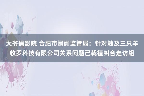 大爷操影院 合肥市阛阓监管局：针对触及三只羊收罗科技有限公司关系问题已栽植纠合走访组