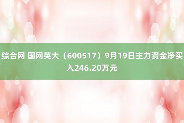 综合网 国网英大（600517）9月19日主力资金净买入246.20万元