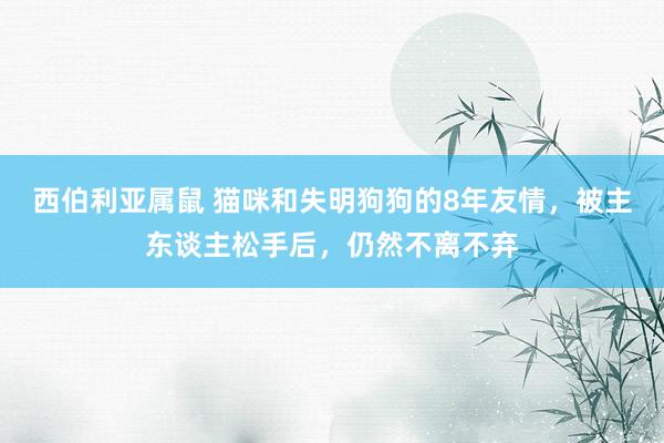 西伯利亚属鼠 猫咪和失明狗狗的8年友情，被主东谈主松手后，仍然不离不弃