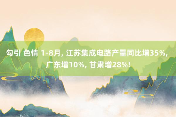 勾引 色情 1-8月， 江苏集成电路产量同比增35%， 广东增10%， 甘肃增28%!