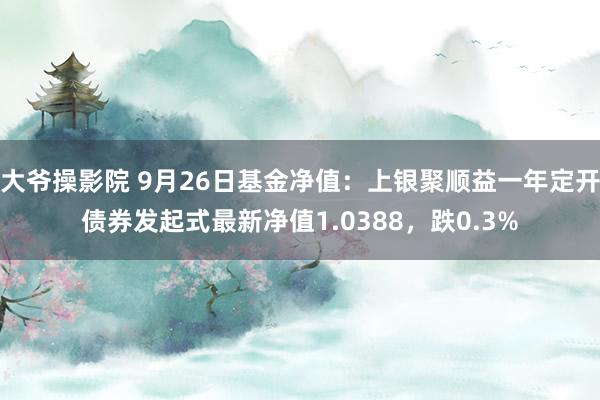 大爷操影院 9月26日基金净值：上银聚顺益一年定开债券发起式最新净值1.0388，跌0.3%