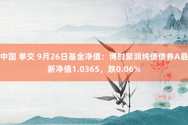 中国 拳交 9月26日基金净值：博时聚润纯债债券A最新净值1.0365，跌0.06%