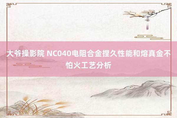 大爷操影院 NC040电阻合金捏久性能和熔真金不怕火工艺分析