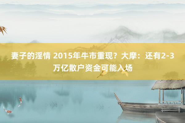 妻子的淫情 2015年牛市重现？大摩：还有2-3万亿散户资金可能入场