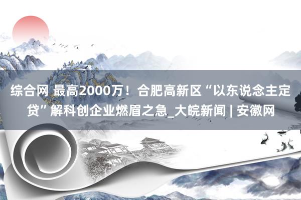 综合网 最高2000万！合肥高新区“以东说念主定贷”解科创企业燃眉之急_大皖新闻 | 安徽网