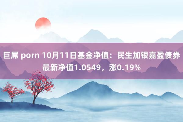 巨屌 porn 10月11日基金净值：民生加银嘉盈债券最新净值1.0549，涨0.19%