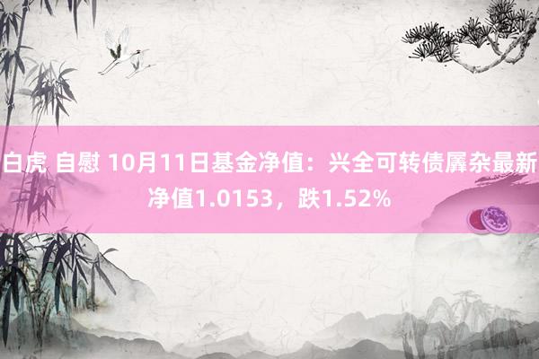 白虎 自慰 10月11日基金净值：兴全可转债羼杂最新净值1.0153，跌1.52%