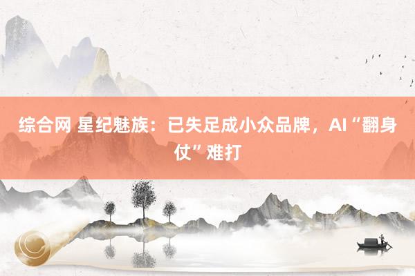 综合网 星纪魅族：已失足成小众品牌，AI“翻身仗”难打