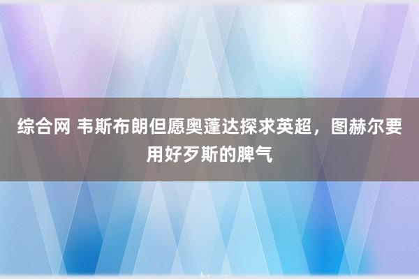 综合网 韦斯布朗但愿奥蓬达探求英超，图赫尔要用好歹斯的脾气