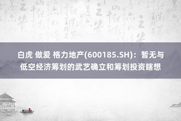 白虎 做爱 格力地产(600185.SH)：暂无与低空经济筹划的武艺确立和筹划投资瞎想