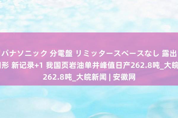 パナソニック 分電盤 リミッタースペースなし 露出・半埋込両用形 新记录+1 我国页岩油单井峰值日产262.8吨_大皖新闻 | 安徽网