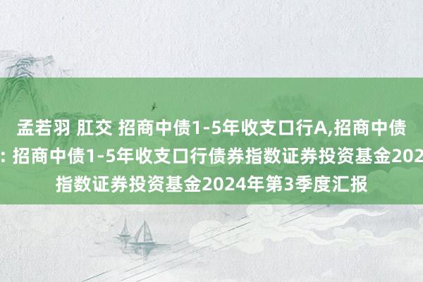 孟若羽 肛交 招商中债1-5年收支口行A，招商中债1-5年收支口行C: 招商中债1-5年收支口行债券指数证券投资基金2024年第3季度汇报