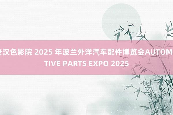 老汉色影院 2025 年波兰外洋汽车配件博览会AUTOMOTIVE PARTS EXPO 2025