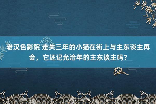 老汉色影院 走失三年的小猫在街上与主东谈主再会，它还记允洽年的主东谈主吗？