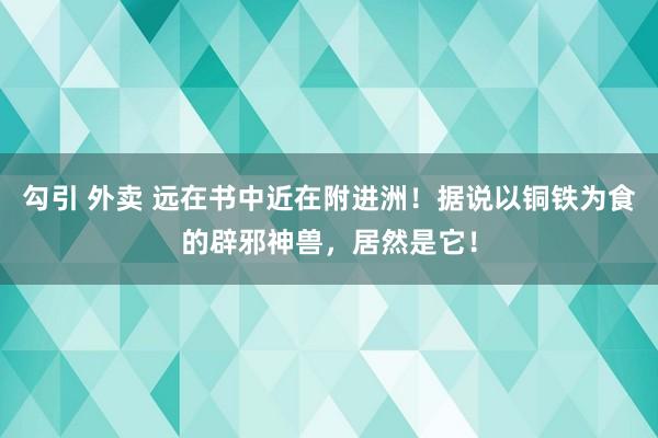 勾引 外卖 远在书中近在附进洲！据说以铜铁为食的辟邪神兽，居然是它！