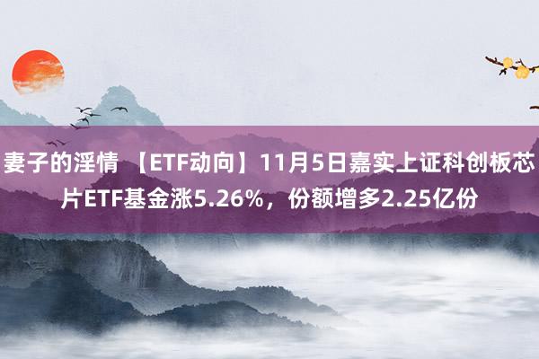 妻子的淫情 【ETF动向】11月5日嘉实上证科创板芯片ETF基金涨5.26%，份额增多2.25亿份