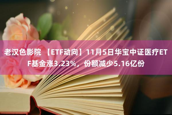 老汉色影院 【ETF动向】11月5日华宝中证医疗ETF基金涨3.23%，份额减少5.16亿份