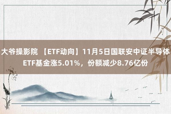 大爷操影院 【ETF动向】11月5日国联安中证半导体ETF基金涨5.01%，份额减少8.76亿份