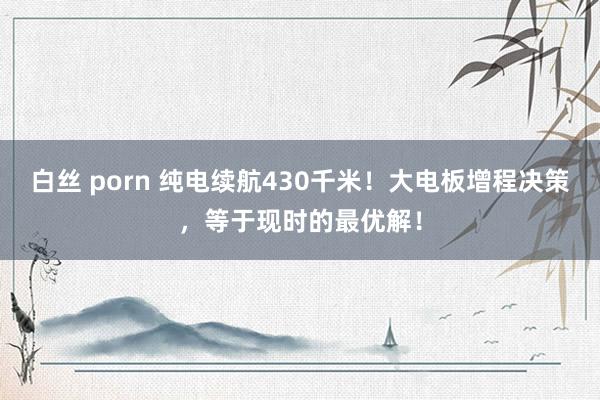 白丝 porn 纯电续航430千米！大电板增程决策，等于现时的最优解！