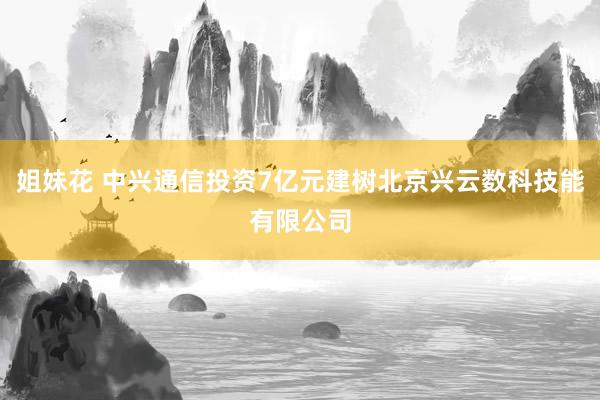 姐妹花 中兴通信投资7亿元建树北京兴云数科技能有限公司