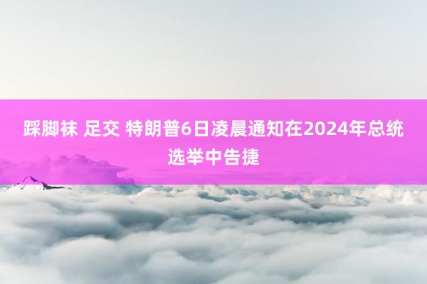 踩脚袜 足交 特朗普6日凌晨通知在2024年总统选举中告捷