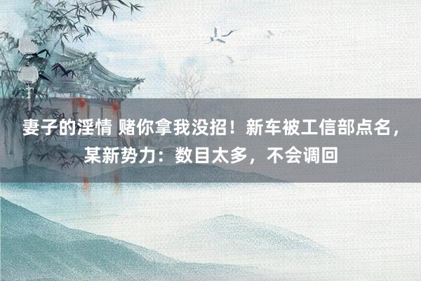 妻子的淫情 赌你拿我没招！新车被工信部点名，某新势力：数目太多，不会调回