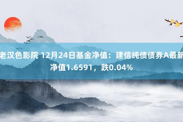 老汉色影院 12月24日基金净值：建信纯债债券A最新净值1.6591，跌0.04%