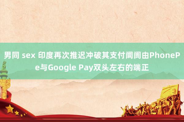 男同 sex 印度再次推迟冲破其支付阛阓由PhonePe与Google Pay双头左右的端正