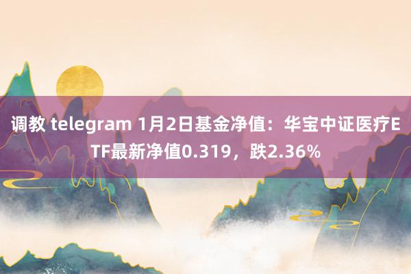 调教 telegram 1月2日基金净值：华宝中证医疗ETF最新净值0.319，跌2.36%