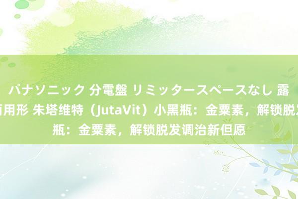 パナソニック 分電盤 リミッタースペースなし 露出・半埋込両用形 朱塔维特（JutaVit）小黑瓶：金粟素，解锁脱发调治新但愿