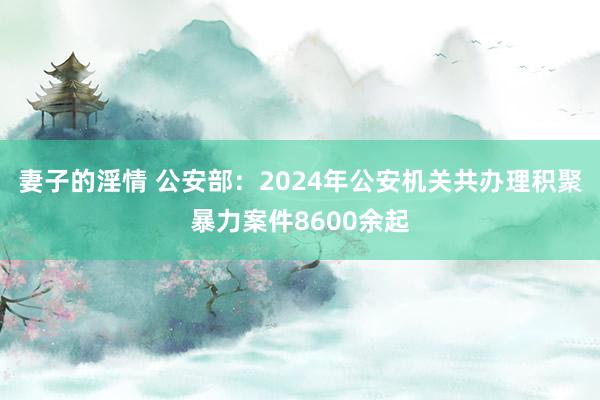 妻子的淫情 公安部：2024年公安机关共办理积聚暴力案件8600余起