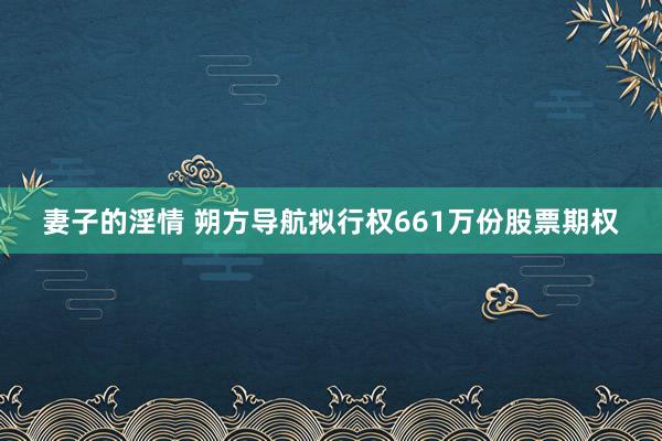 妻子的淫情 朔方导航拟行权661万份股票期权