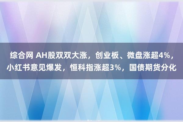 综合网 AH股双双大涨，创业板、微盘涨超4%，小红书意见爆发，恒科指涨超3%，国债期货分化