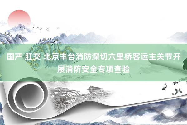 国产 肛交 北京丰台消防深切六里桥客运主关节开展消防安全专项查验