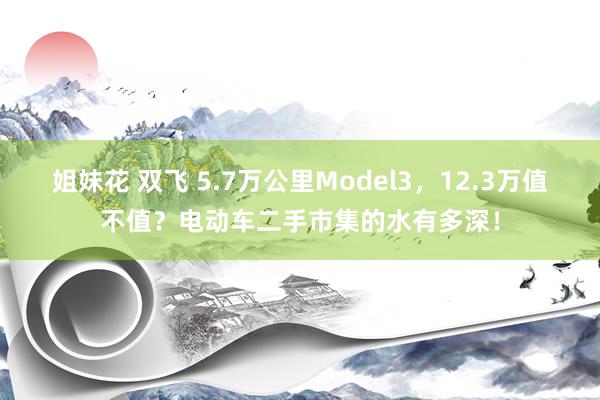 姐妹花 双飞 5.7万公里Model3，12.3万值不值？电