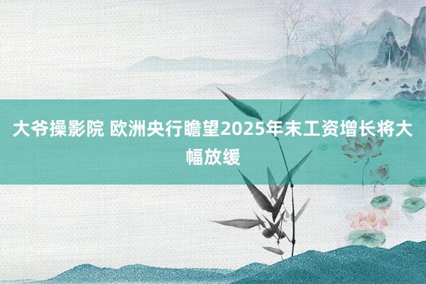 大爷操影院 欧洲央行瞻望2025年末工资增长将大幅放缓